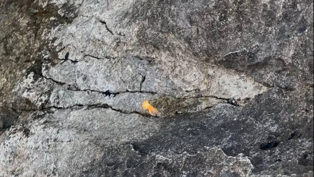 Eğirdir Gölü’nde Gizemli Olay: Çakmakla Kayalar Alev Aldı! 4